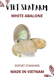 White Abalone